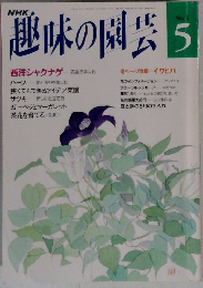 NHK趣味の園芸 5月号　西洋シャクナゲ