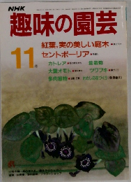 NHK趣味の園芸　11月