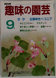 趣味の園芸9月　 タケ 四季咲きベゴニア