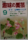 趣味の園芸9月　 タケ 四季咲きベゴニア