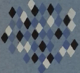 南総里見八犬伝　上