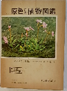 原色日本植物図鑑　草本編 [I] 合弁花類