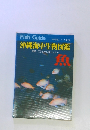 新星図鑑シリーズ第2巻 沖縄海中生物図鑑　魚