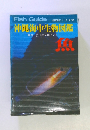 Fish Guide 新星図鑑シリーズ 第3巻　沖縄海中生物図鑑　魚