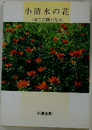小清水の花 (原生花園の花々)