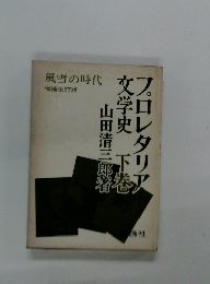 風雪の時代 増補改訂版