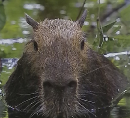 OUTWARD 2020年夏号 No.87