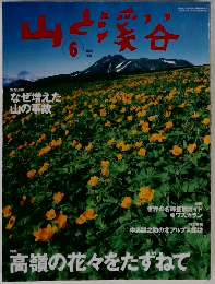 山と渓谷　2002.6