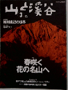 山と渓谷  2004.3