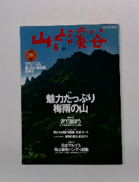 山と溪谷　2004年6月号