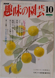 趣味の園芸　1994年10月号
