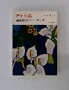 アトリエ NO 573 油絵技法ハンドブック　1974年11月号　