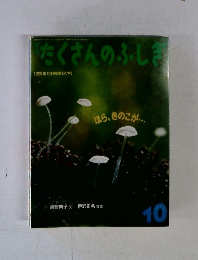 たくさんのふしぎ　1995年10月号 第127号