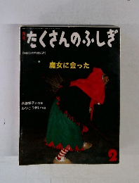 たくさんのふしぎ　魔女に会った　1993年2月号(第95号)