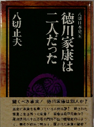 徳川家康は二人だった