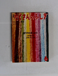 たくさんのふしぎ　6