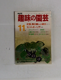 趣味の園芸　11