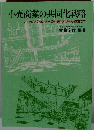 小売商業の共同化戦略　