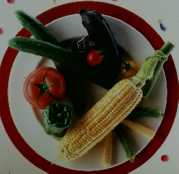 素材クッキング 12　実野菜