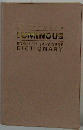 KENKYUSHA LUMINOUS ENGLISH-JAPANESE DICTIONARY