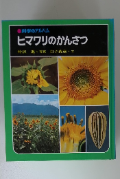 ヒマワリのかんさつ