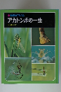 科学のアルバム アカトンボの一生