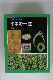 イネの一生