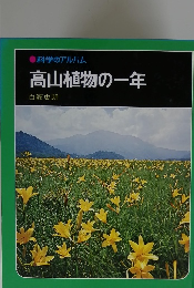 科学のアルバム　高山植物の一年