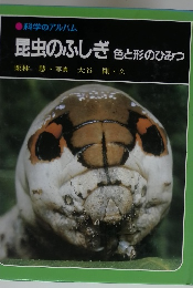 科学のアルバム　昆虫のふしぎ　色と形のひみつ