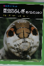 科学のアルバム　昆虫のふしぎ　色と形のひみつ