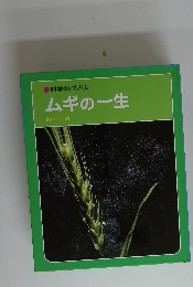 科学のアルバム　ムギの一生