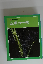 科学のアルバム　ムギの一生