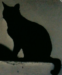 推理小説代表作選集