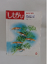 しぜん　6　キンダーブック　3　めだか