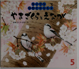 ちいさなかがくのとも 2011年 05月号 [雑誌]