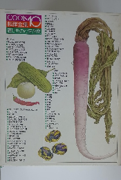 COOK 料理全集　10 漬けものと保存食
