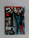 つり情報 no 847
