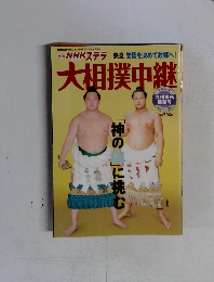 大相撲中継　別冊 NHKステラ 