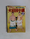 大相撲中継　別冊 NHKステラ 
