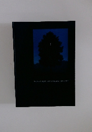 From Ensor to Magritte: Belgian Painting between 1880 and 1940