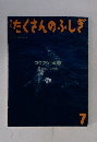 たくさんのふしぎ コククジラの旅 7