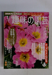 趣味の園芸 2013年1月