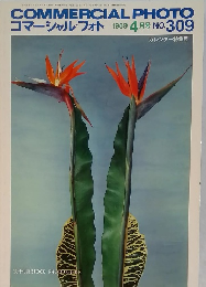 コマーシャルフォト　1989年4月号