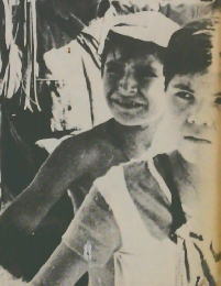 現代のラテンアメリカ この激動の20年