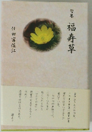 句集福寿草