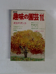 NHK趣味の園芸 1984年11月　肥後サザンカ