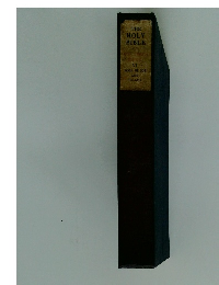 THE　HOLY　BIBLE　BOOK OF JOB AND PSALMS