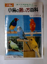 小鳥の飼い方百科