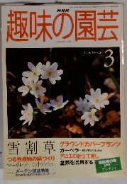 趣味の園芸　2000年3月号　