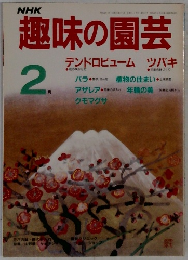 NHK 趣味の園芸 デンドロビューム ツバキ 2